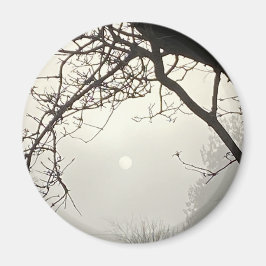 Imán Cielo Blanco Y Sol Dramáticamente Enmarcado Por Ár