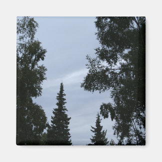 Imán Cielo de Alaska