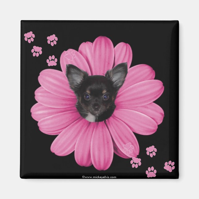 Imán Cielo de Sly Adorable Cute Chihuahua (Frente)