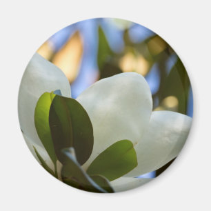 Imán Cielo de Vidrio Pintado Regalos de Magnolia del Su