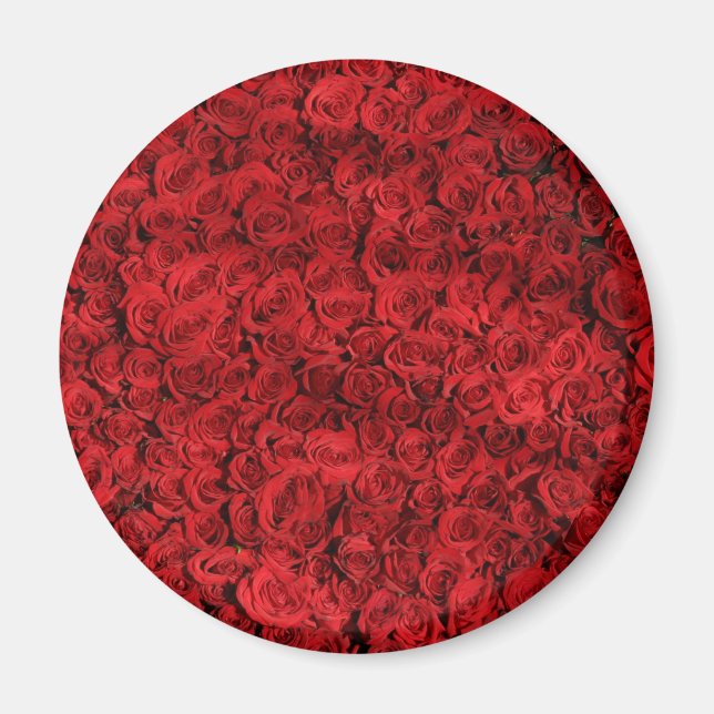 Imán Cientos de hermosas rosas rojas (Frente)