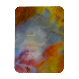 Imán Cierre de la madera petrificada abstracta