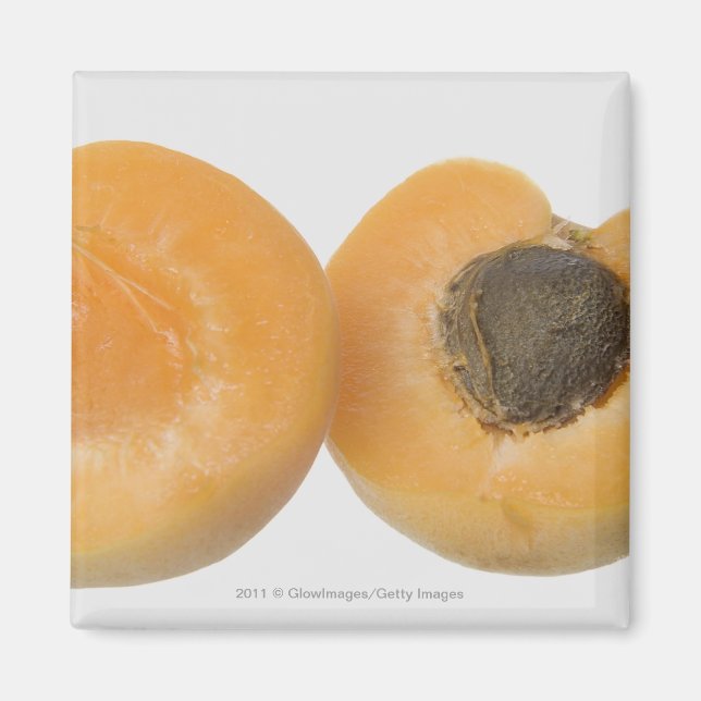 Imán Cierre de la sección transversal de una ciruela (Frente)