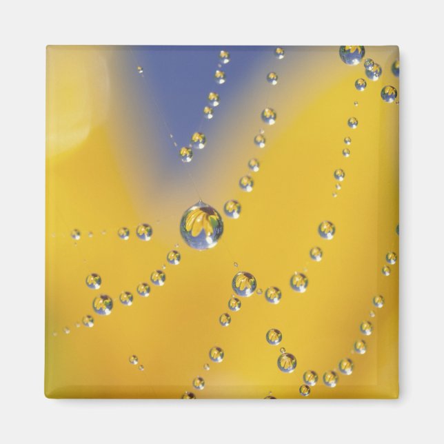 Imán Cierre de telaraña con rocío (Frente)