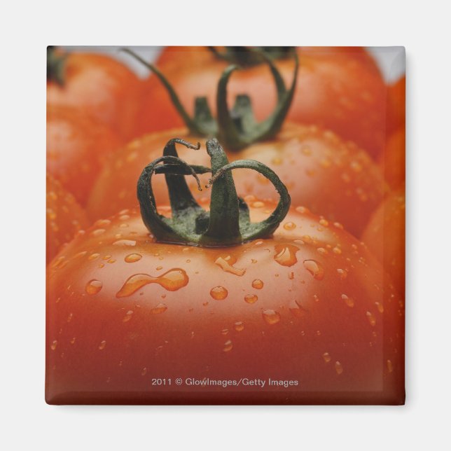 Imán Cierre de tomates 2 (Frente)