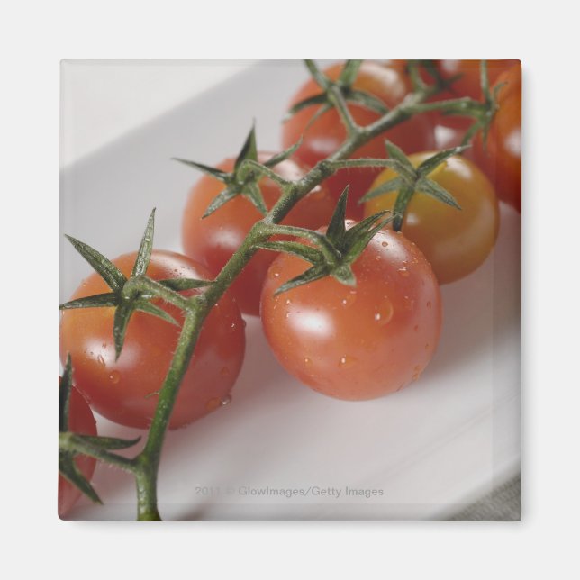 Imán Cierre de tomates en una bandeja (Frente)
