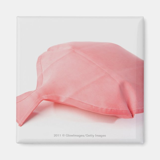 Imán Cierre de un cojín flojo (Frente)