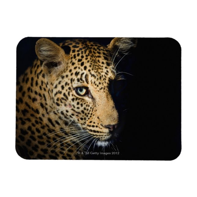 Imán Cierre del Leopard, Gran Kruger Nacional (Horizontal)