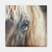 Cierre del ojo de caballo