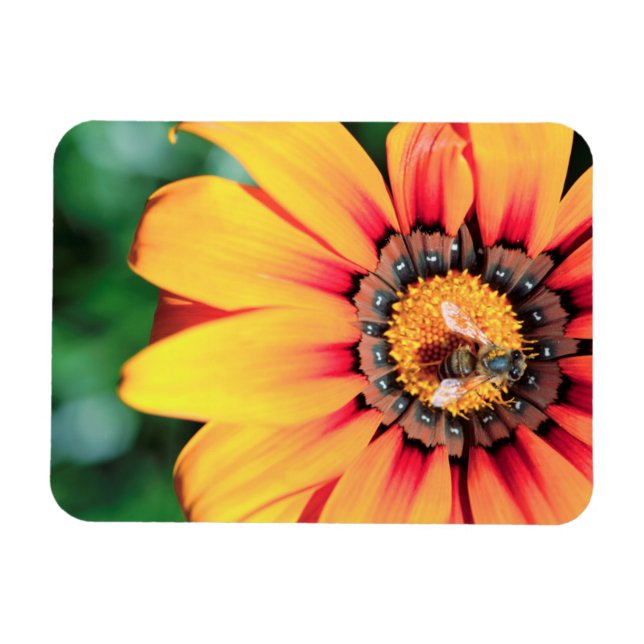 Imán Cierre Extremo De Un Polen Colectivo De Abejas (Horizontal)