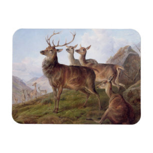Imán Ciervo común en un paisaje de la montaña, 1872 (