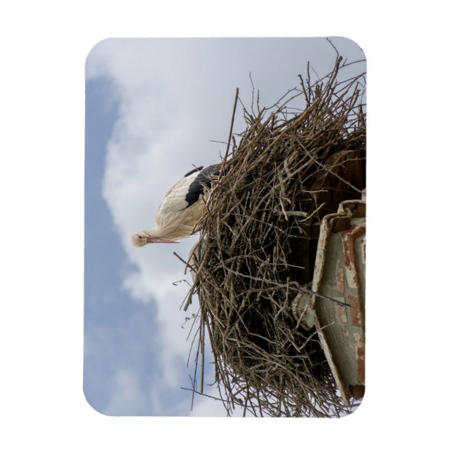 Imán cigüeña blanca en el nido (Vertical)