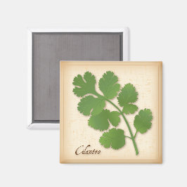 Imán Cilantro Hierba