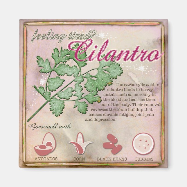 Imán Cilantro Magnet (Frente)