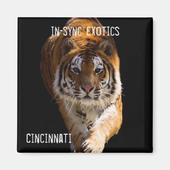 Imán Cincinnati Tiger (Frente)
