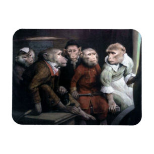 Imán Cinco monos brillantes