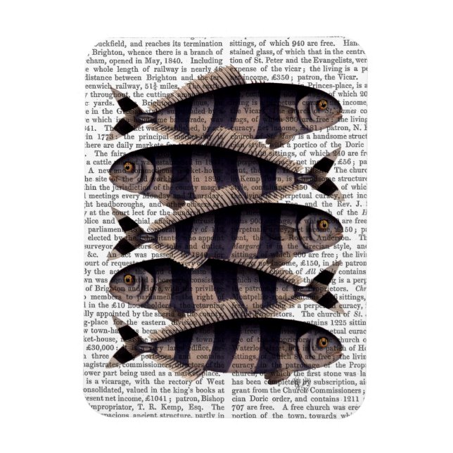 Imán Cinco peces rayados (Vertical)