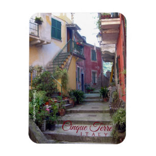 Imán Cinque Terre (calle de Monterosso)