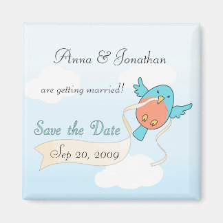 Imán Cinta en vuelo