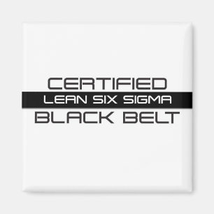 Imán Cinturón negro certificado Lean Six Sigma