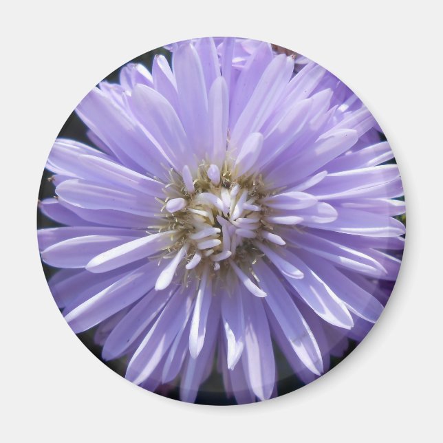 Imán Cirene (Frente)