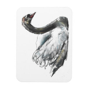 Imán Cisne