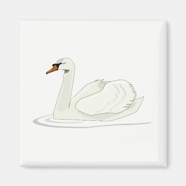 Imán Cisne (Frente)
