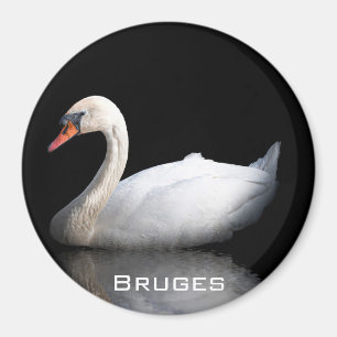 Imán cisne blanco sobre negro