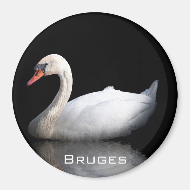 Imán cisne blanco sobre negro (Frente)