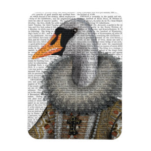 Imán Cisne isabelino