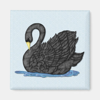 Imán Cisne negro
