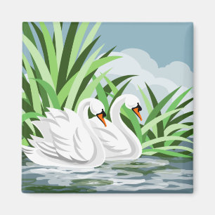 Imán Cisnes blancos