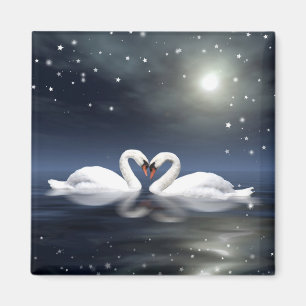 Imán Cisnes cariñosos