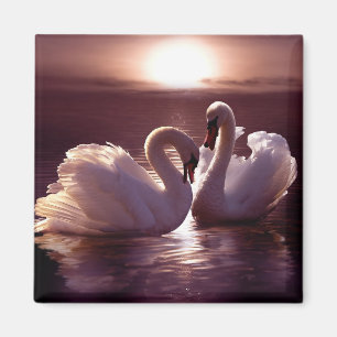 Imán Cisnes cariñosos que forman un corazón