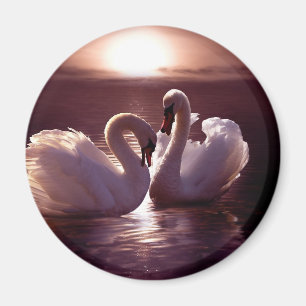 Imán Cisnes cariñosos que forman un corazón