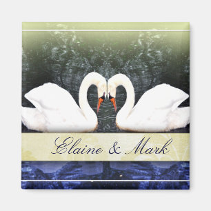Imán Cisnes elegantes en amor