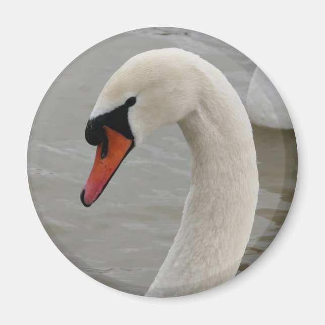 Imán Cisnes en el lago (Frente)
