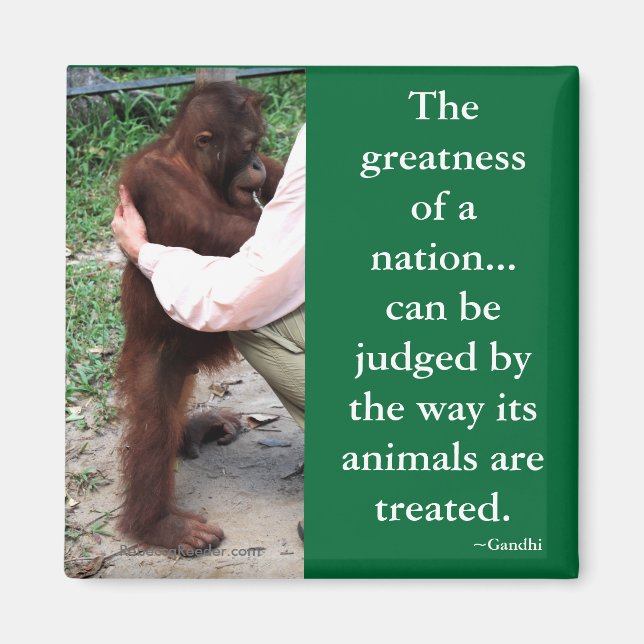 Imán Cita animal de Gandhi (Frente)