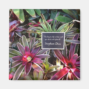Imán Cita de Stephen Dias del jardín botánico de