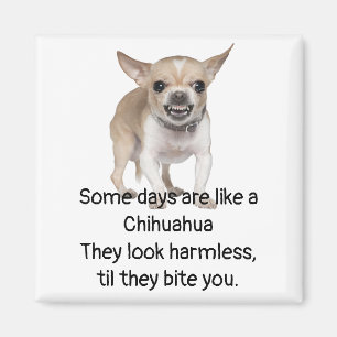Imán Cita divertida sobre la vida con un perro chihuahu