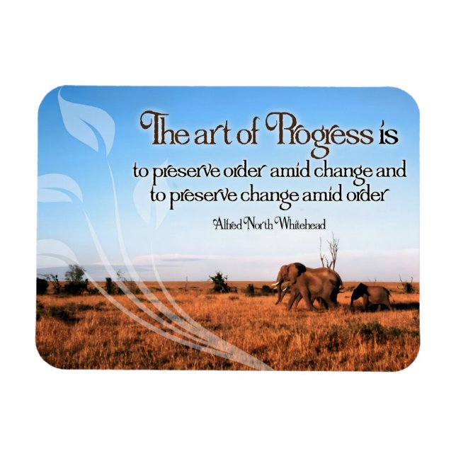 Imán Cita Inspiradora de Alfred North Whitehead (Horizontal)