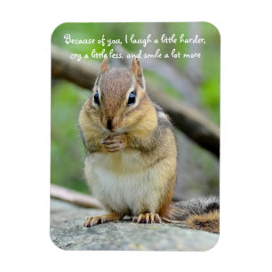 Imán Cita linda estupenda de la amistad del Chipmunk