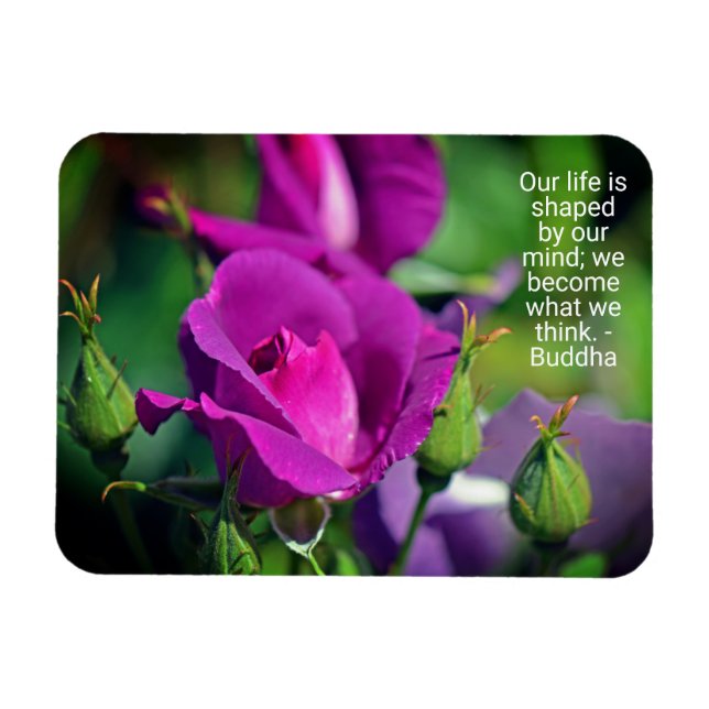 Imán Cita motivacional Rosa de Purple Budding (Horizontal)