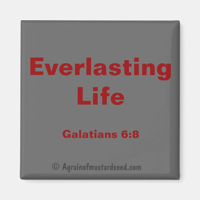 Imán Citas de la Biblia (Frente)