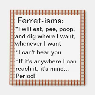 Imán Citas divertidas de ferret-ismo