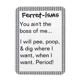 Imán Citas divertidas de ferret-ismo