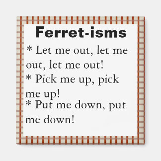 Imán Citas divertidas de ferret-ismo