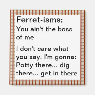 Imán Citas divertidas de ferret-ismo