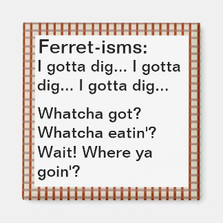 Imán Citas divertidas de ferret-ismo