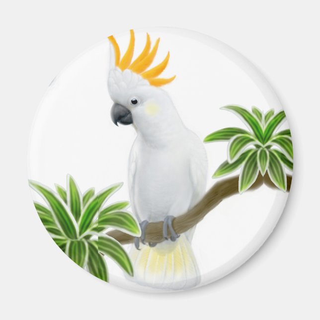 Imán Citron Cockatoo Magnet (Frente)